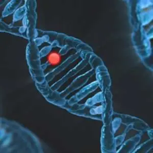 dna, genetics, mutation, gene, science, biology, disease, chromosome, personalised medicine, medicine, healthcare, health, illness, inherited, rare, dna, dna, dna, dna, dna, genetics, mutation, gene