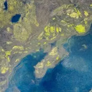 Aerial view showcasing vibrant patterns of algae in ocean waters, capturing nature's artistry from above.