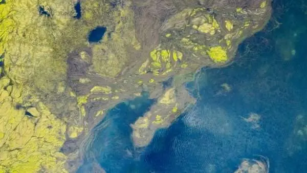 Aerial view showcasing vibrant patterns of algae in ocean waters, capturing nature's artistry from above.