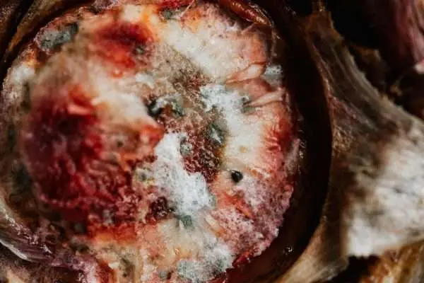 Macro shot of a moldy fruit showcasing growth and texture in detail.