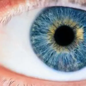 Detailed macro of a human eye showcasing the iris and pupil.